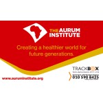 Vehicle Magnets (2 per Set)